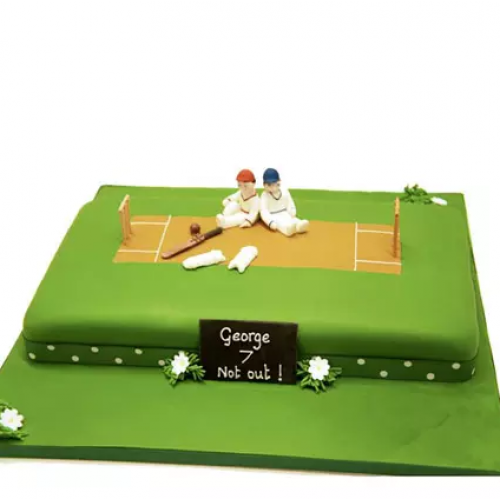 Customized Cricket Pitch Cake Delivery in Ghaziabad