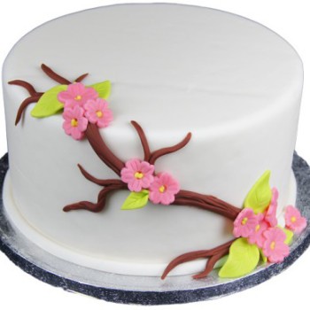 Cherry Blossom Pink Fondant Cake Cherry Blossom Pink Fondant Cake