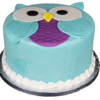 Owl Fondant Cake