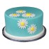 Spring Daisies Fondant Cake