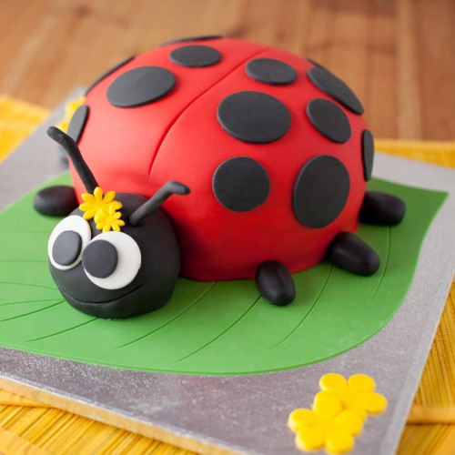 Ladybird Bug Fondant Cake Delivery in Ghaziabad