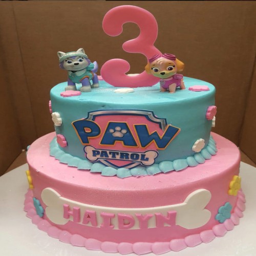 2 Tier Paw Patrol Fondant Cake Delivery in Ghaziabad