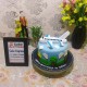 Airplane Theme Fondant Cake Delivery in Ghaziabad