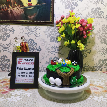 Angry Birds Chocolate Birthday Cake